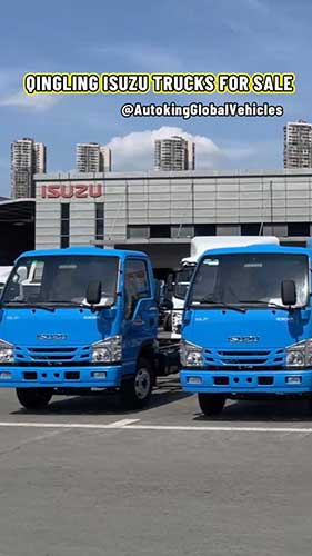 100P ISUZU Truck & Chassis