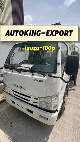 ISUZU 100P Regrigerated Truck & Crane Truck