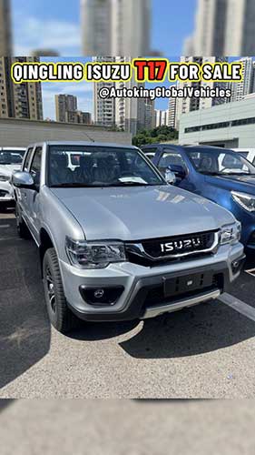 Qingling ISUZU Pickup Truck T17